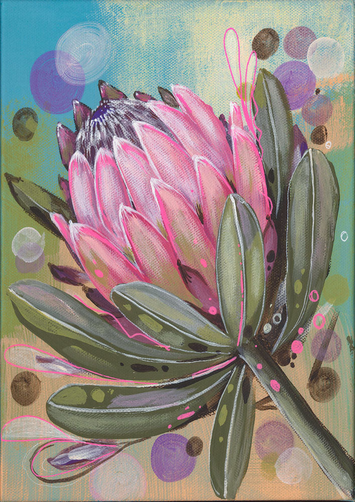 Candy Protea