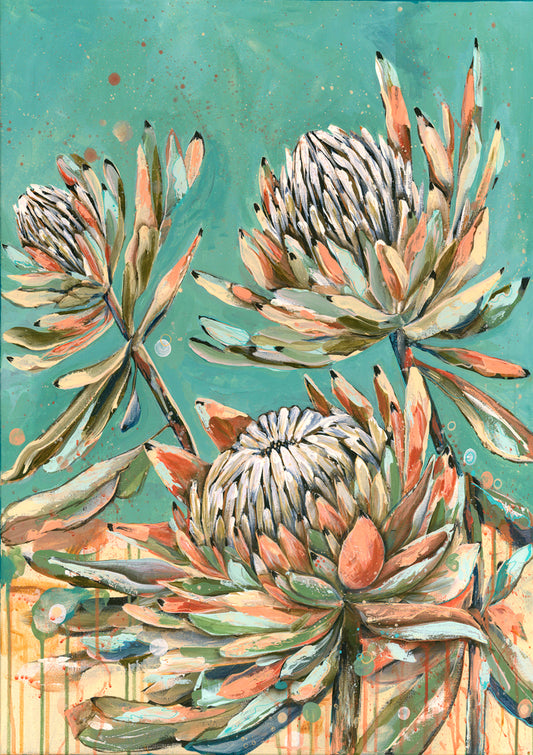 Protea Dreams